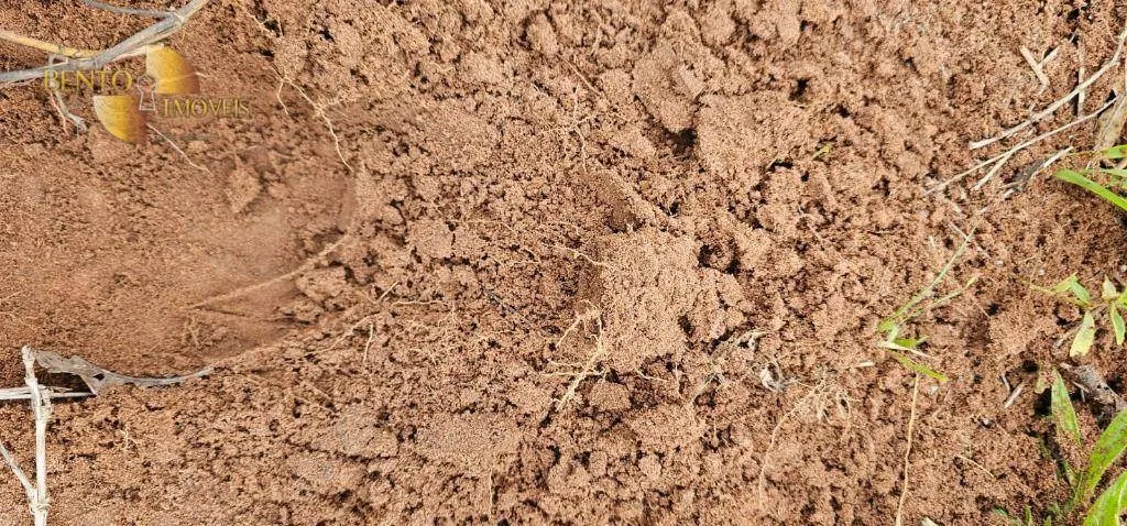 Fazenda à venda de 339 ha em Juscimeira, MT, Brasil