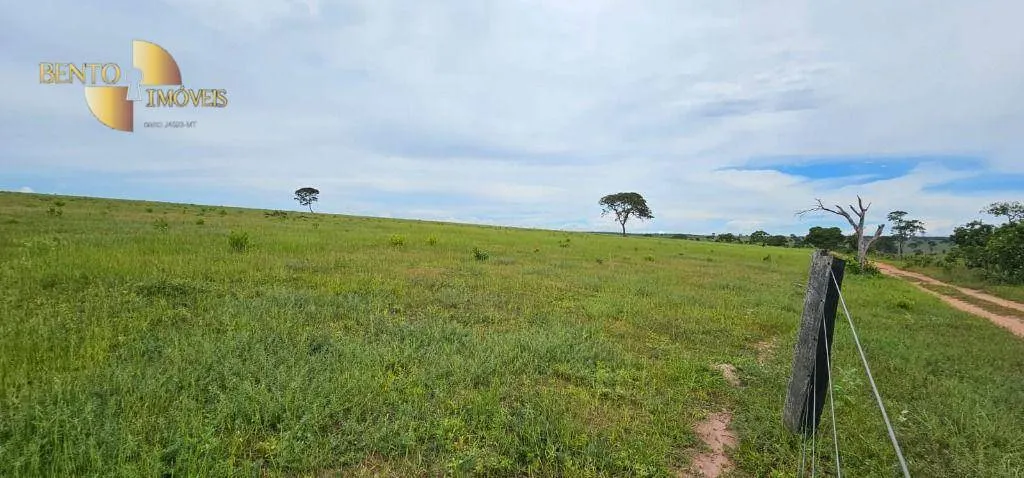 Fazenda à venda de 339 ha em Juscimeira, MT, Brasil