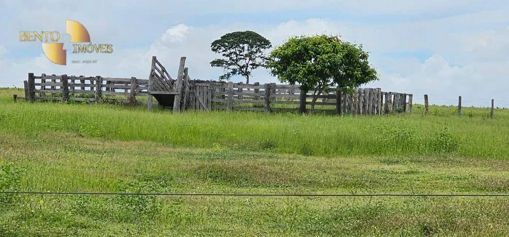 Fazenda à venda de 339 ha em Juscimeira, MT, Brasil