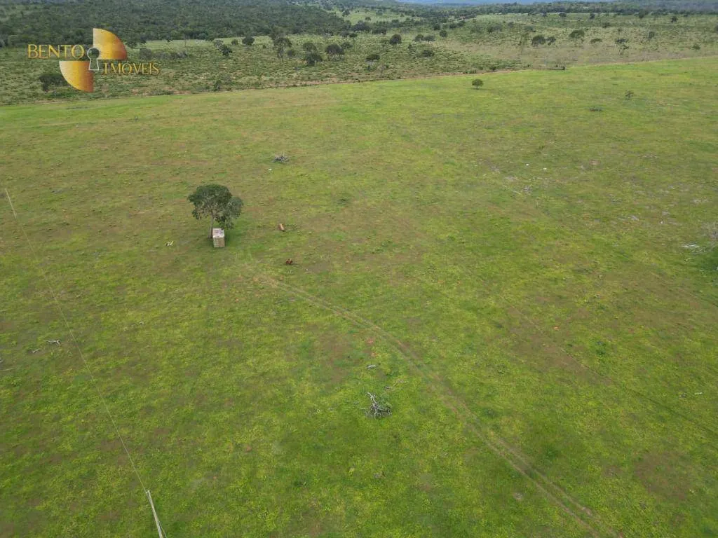 Fazenda à venda de 339 ha em Juscimeira, MT, Brasil