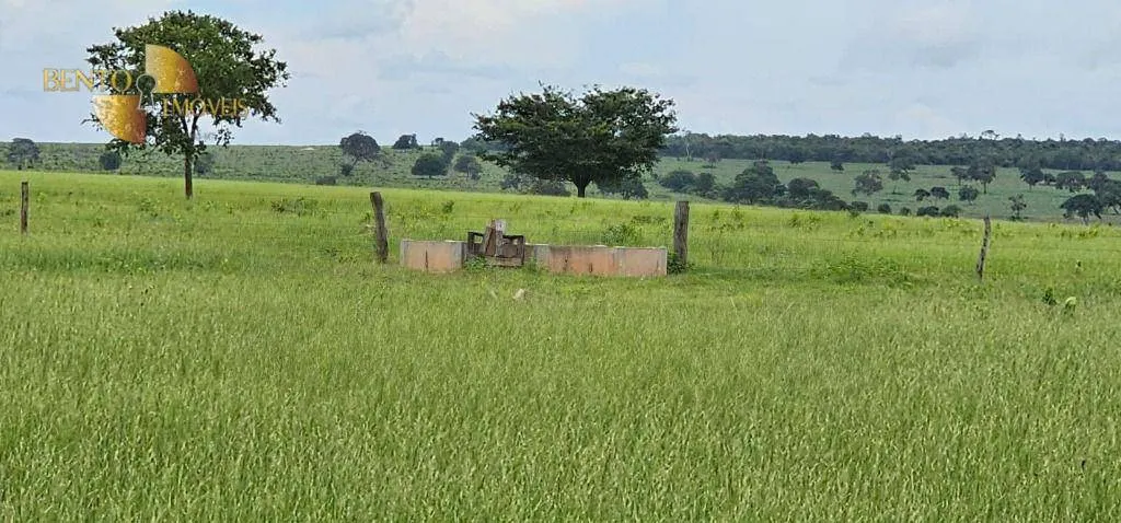Fazenda à venda de 339 ha em Juscimeira, MT, Brasil