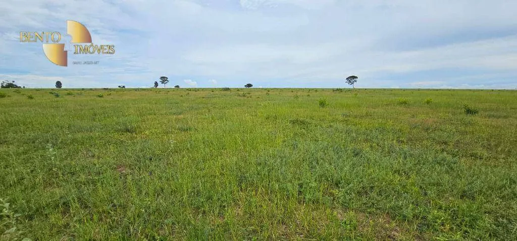Fazenda à venda de 339 ha em Juscimeira, MT, Brasil