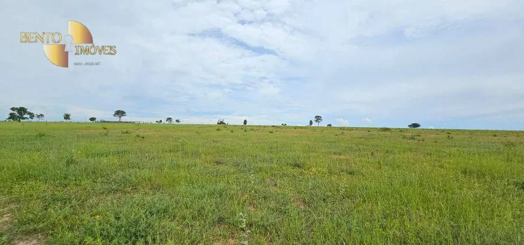 Fazenda à venda de 339 ha em Juscimeira, MT, Brasil