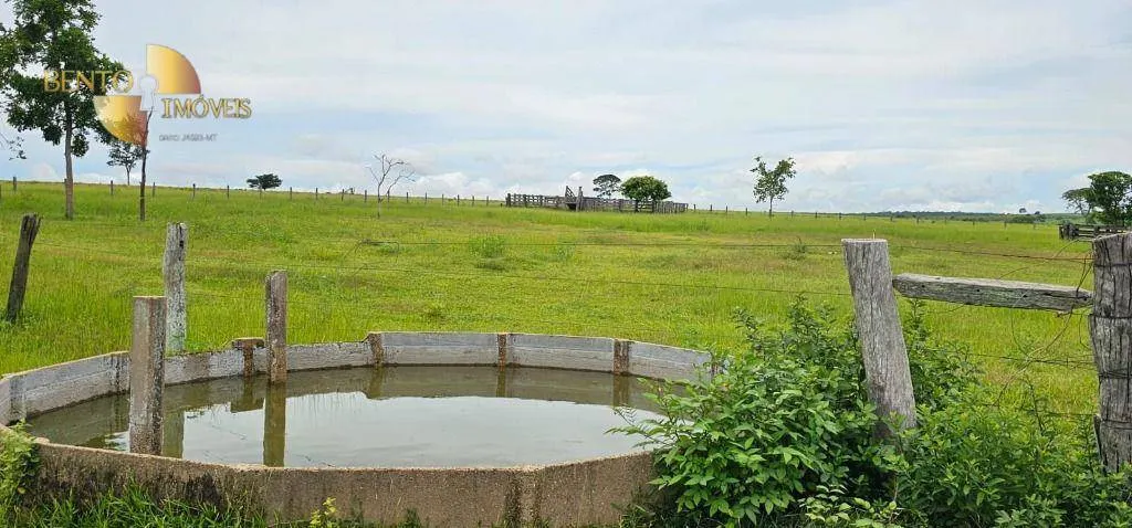 Fazenda à venda de 339 ha em Juscimeira, MT, Brasil
