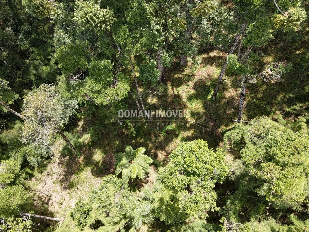 Terreno à venda de 1.110 m² em Campos do Jordão, SP, Brasil