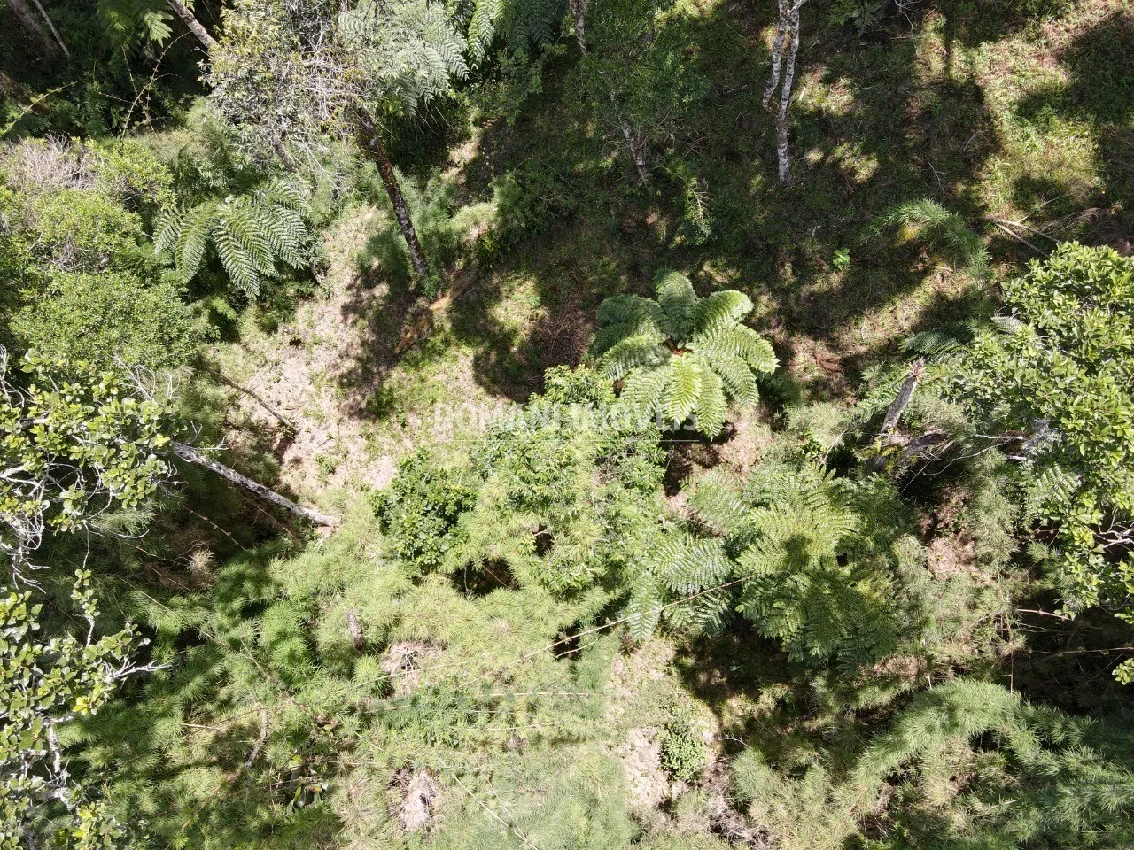 Terreno à venda de 1.110 m² em Campos do Jordão, SP, Brasil