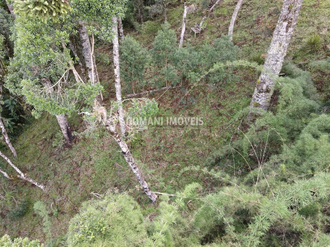 Terreno à venda de 1.110 m² em Campos do Jordão, SP, Brasil