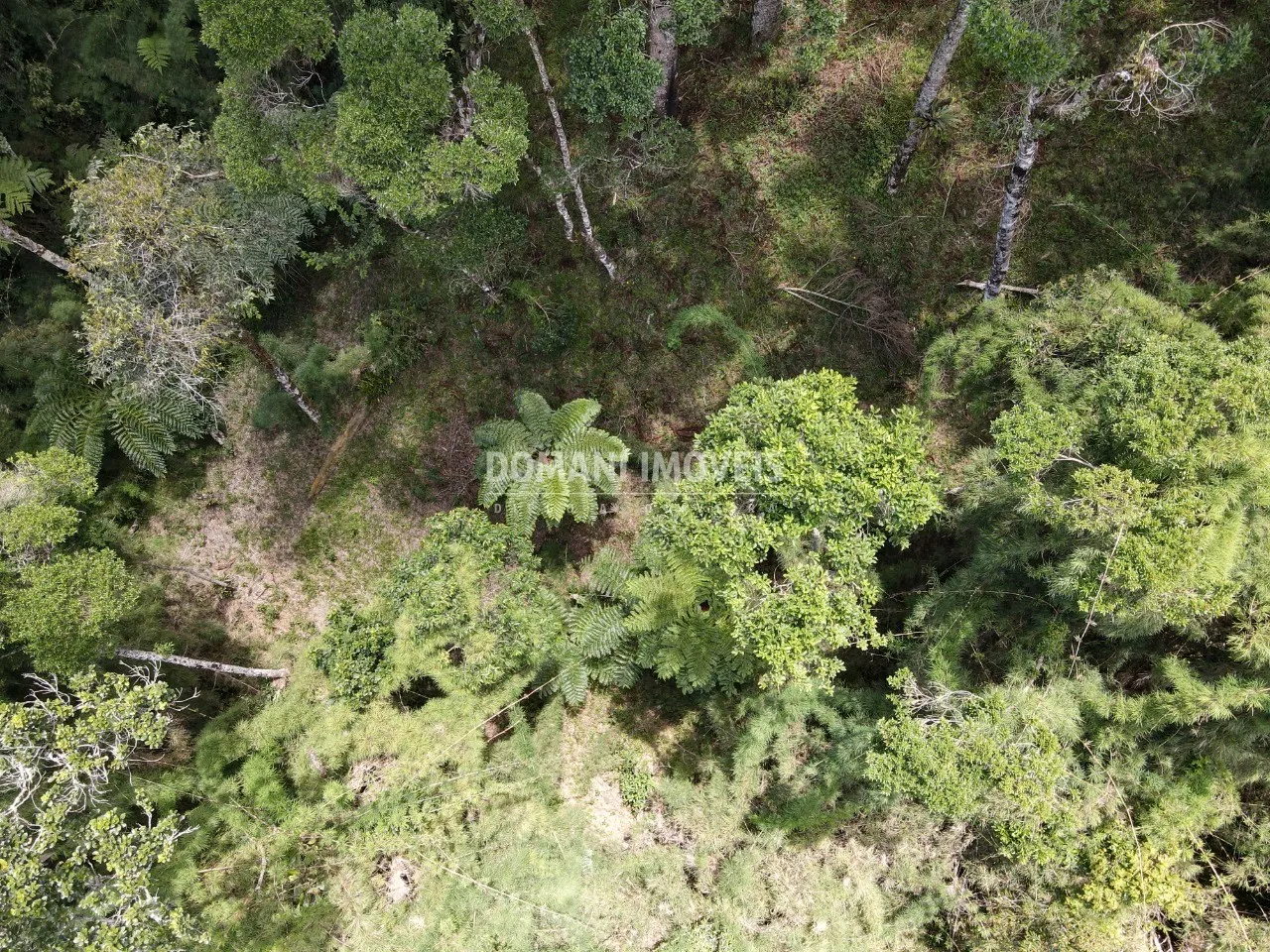 Terreno à venda de 1.110 m² em Campos do Jordão, SP, Brasil