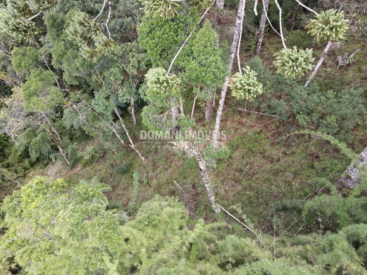 Terreno à venda de 1.110 m² em Campos do Jordão, SP, Brasil
