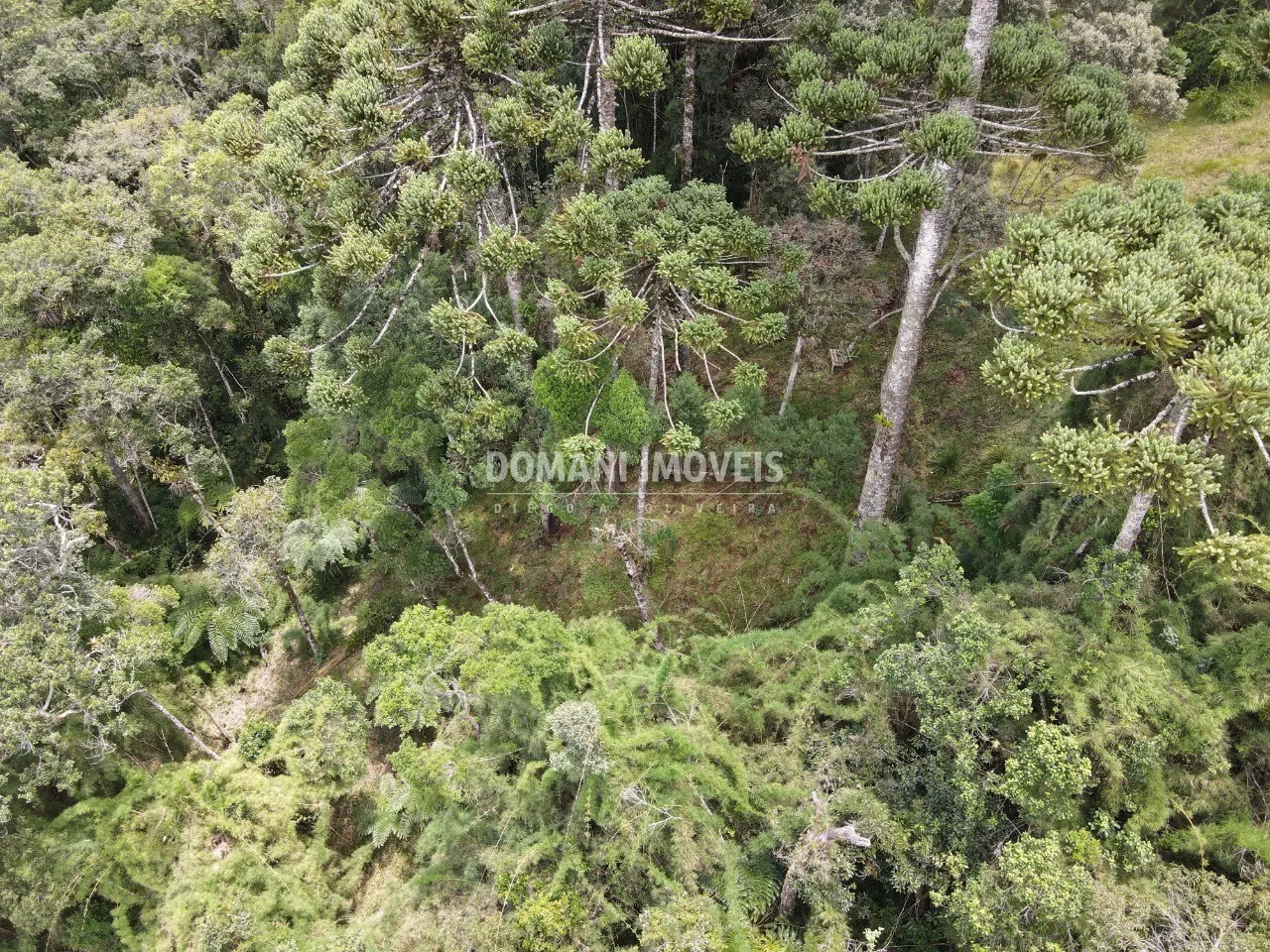 Terreno à venda de 1.110 m² em Campos do Jordão, SP, Brasil