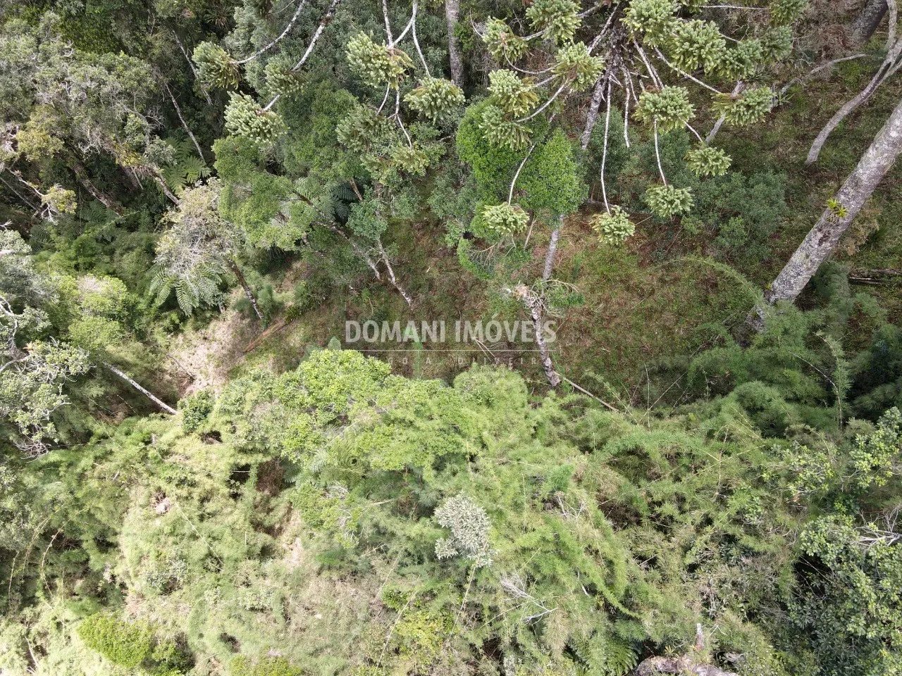 Terreno à venda de 1.110 m² em Campos do Jordão, SP, Brasil