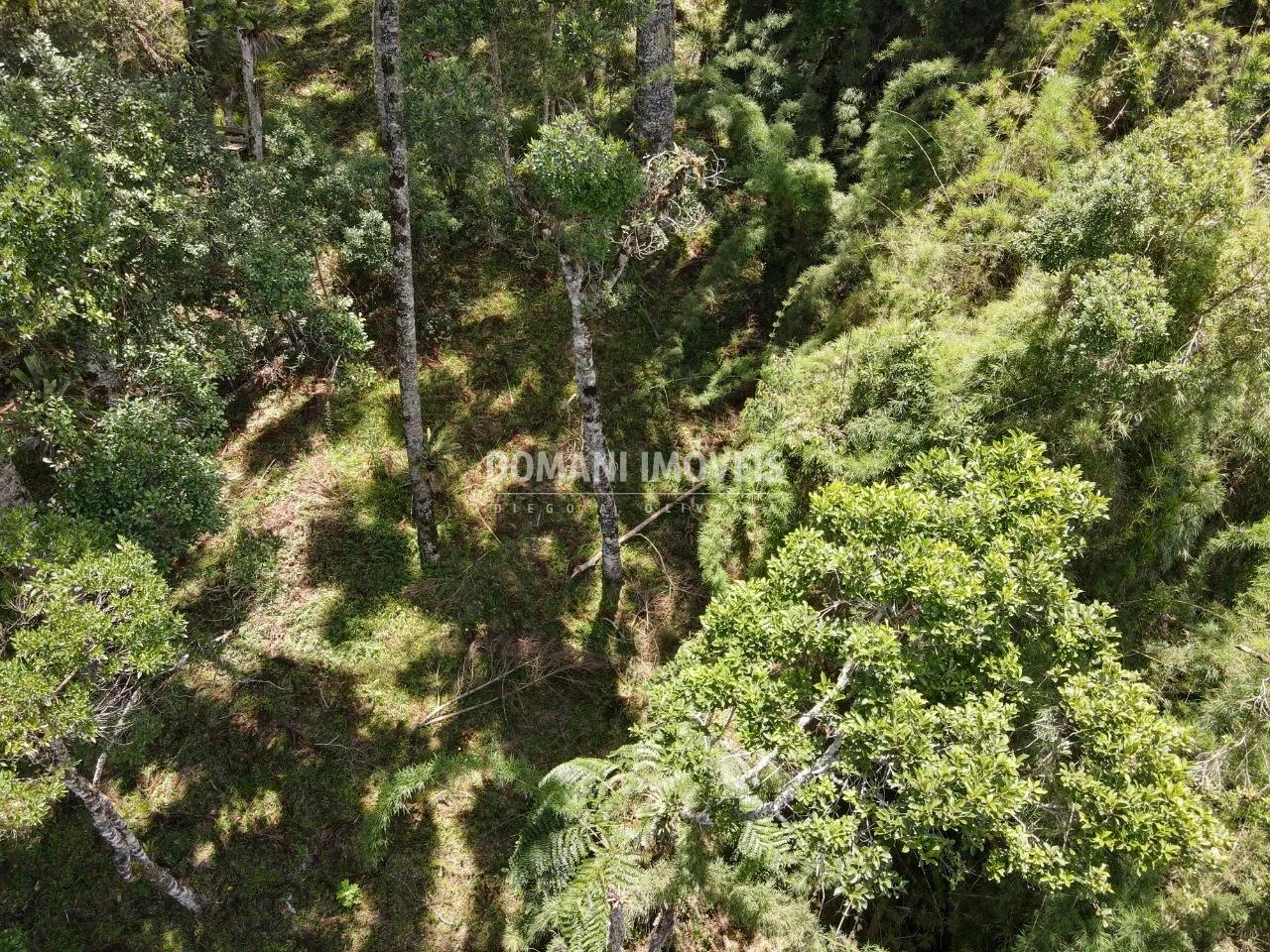 Terreno à venda de 1.110 m² em Campos do Jordão, SP, Brasil