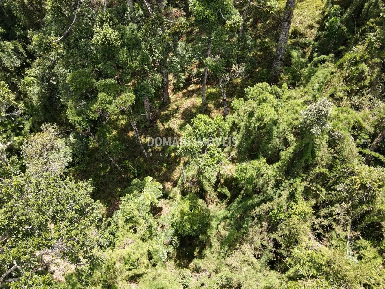 Terreno à venda de 1.110 m² em Campos do Jordão, SP, Brasil