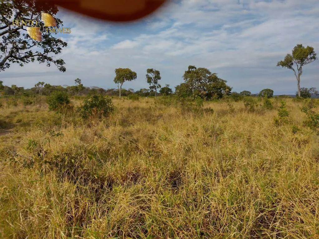 Fazenda à venda de 519 ha em Porto Esperidião, MT, Brasil