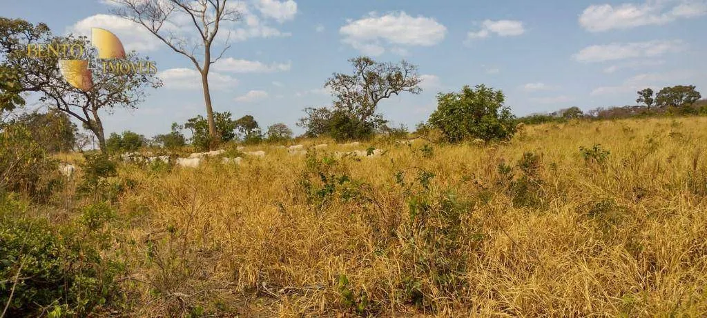 Fazenda à venda de 519 ha em Porto Esperidião, MT, Brasil