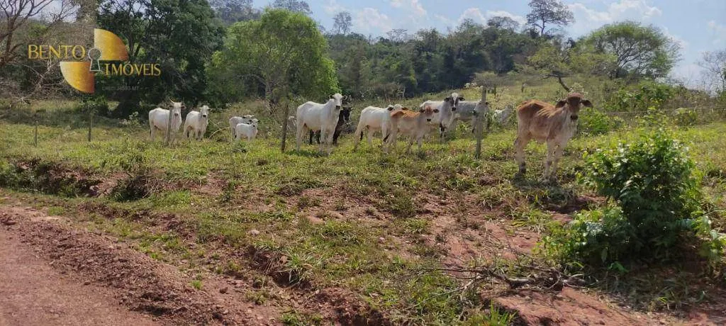 Fazenda à venda de 519 ha em Porto Esperidião, MT, Brasil