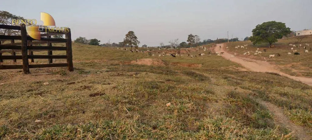 Fazenda à venda de 519 ha em Porto Esperidião, MT, Brasil