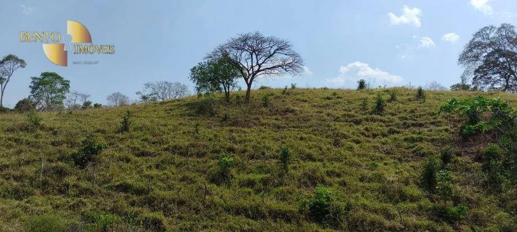 Fazenda à venda de 519 ha em Porto Esperidião, MT, Brasil