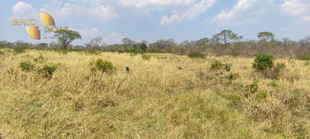Fazenda à venda de 519 ha em Porto Esperidião, MT, Brasil
