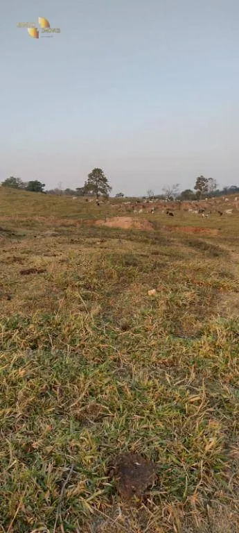 Fazenda à venda de 519 ha em Porto Esperidião, MT, Brasil