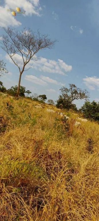 Fazenda à venda de 519 ha em Porto Esperidião, MT, Brasil