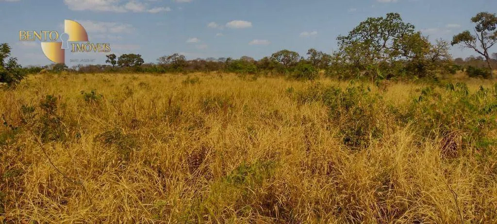 Fazenda à venda de 519 ha em Porto Esperidião, MT, Brasil