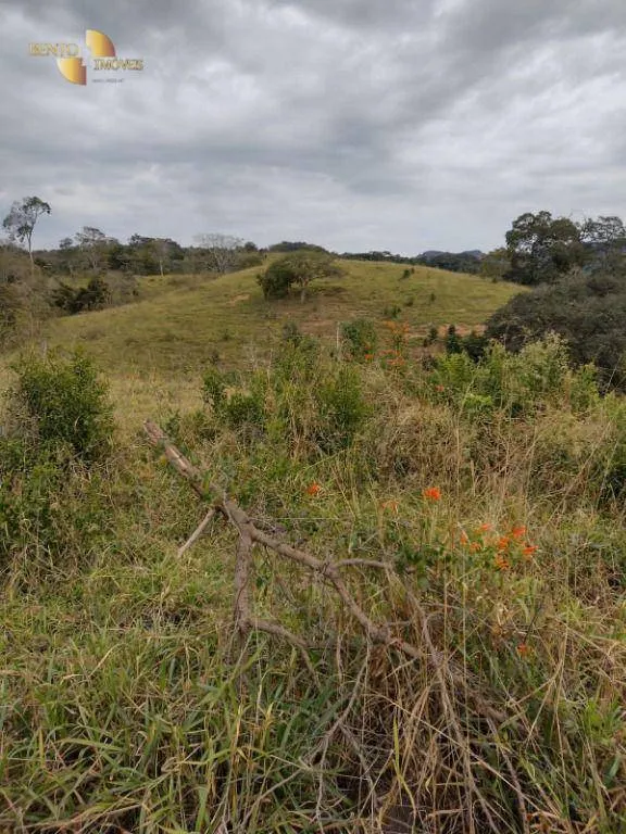Fazenda à venda de 519 ha em Porto Esperidião, MT, Brasil
