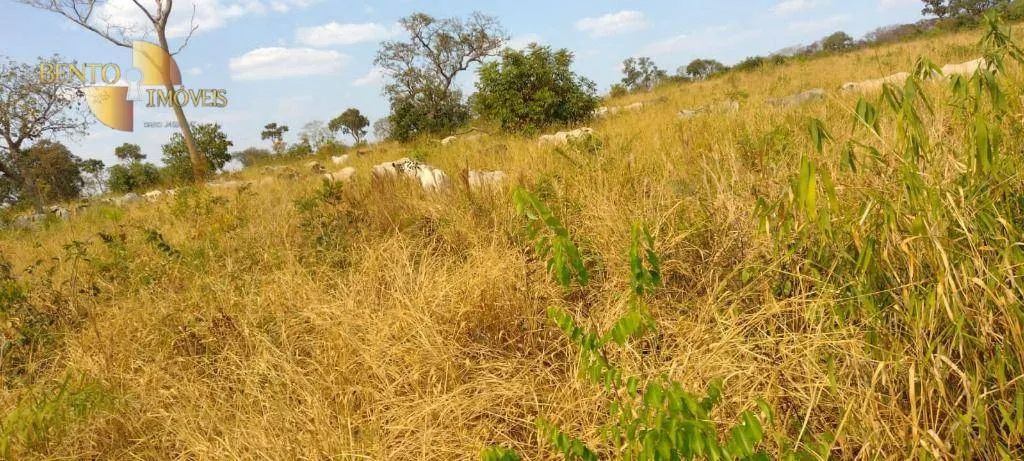 Fazenda à venda de 519 ha em Porto Esperidião, MT, Brasil