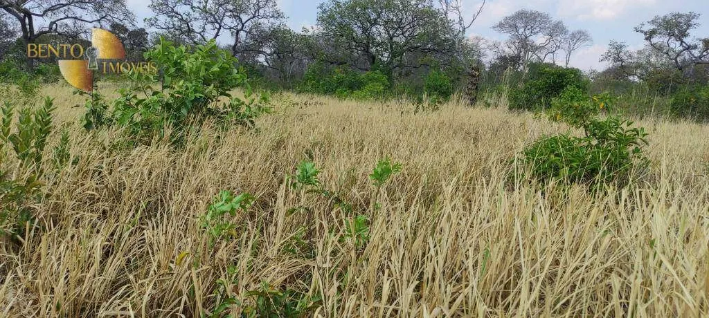 Fazenda à venda de 519 ha em Porto Esperidião, MT, Brasil