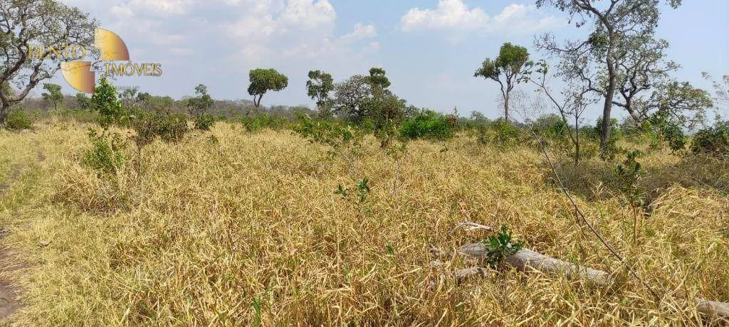 Fazenda à venda de 519 ha em Porto Esperidião, MT, Brasil