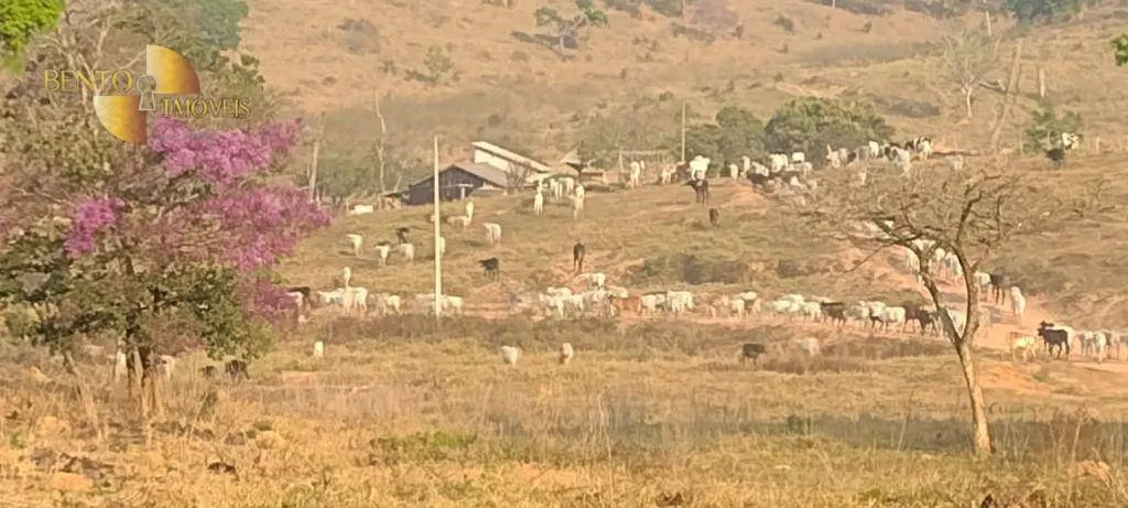 Fazenda à venda de 519 ha em Porto Esperidião, MT, Brasil