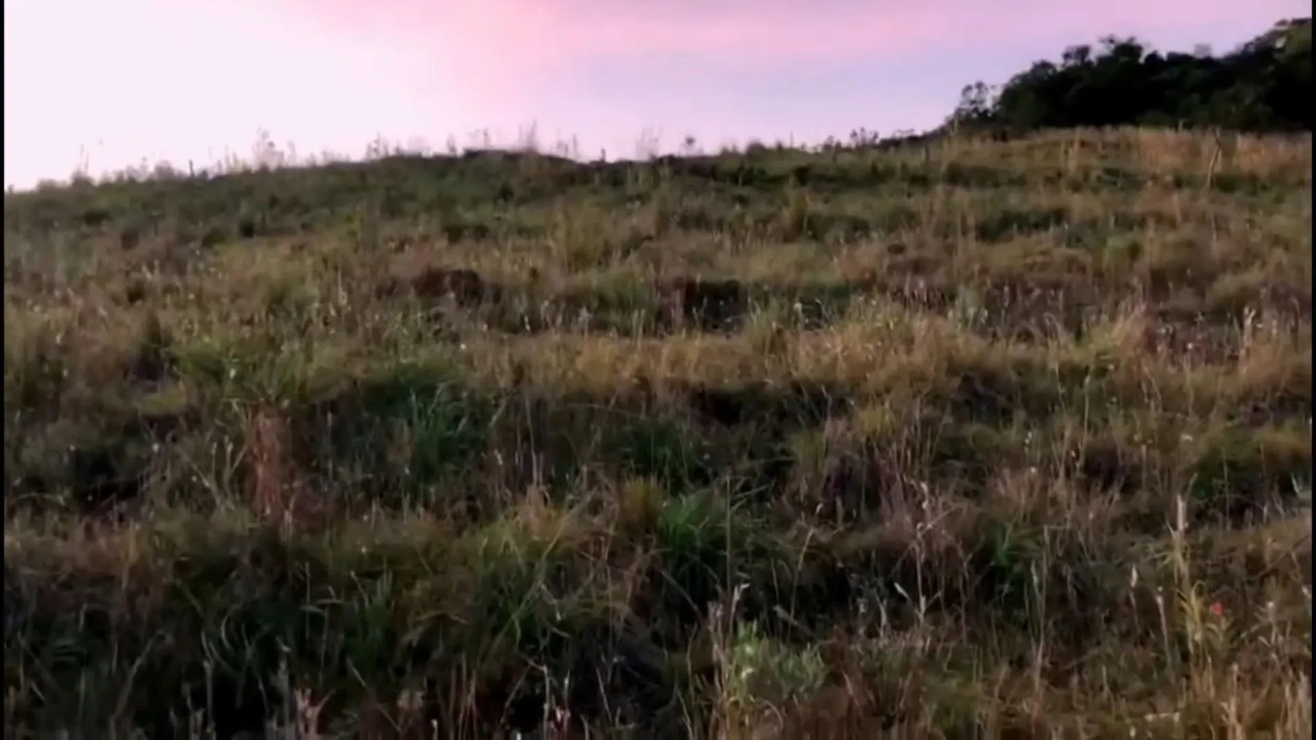 Chácara à venda de 1.200 m² em Santo Antônio da Patrulha, RS, Brasil