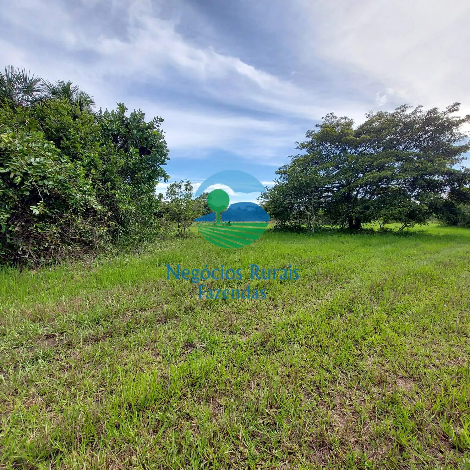 Fazenda à venda de 639 ha em Santa Rosa do Tocantins, TO, Brasil