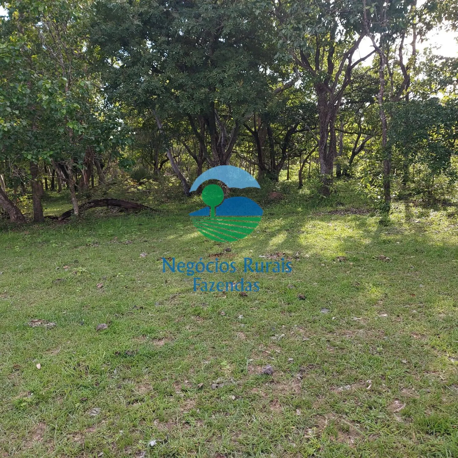 Fazenda à venda de 639 ha em Santa Rosa do Tocantins, TO, Brasil