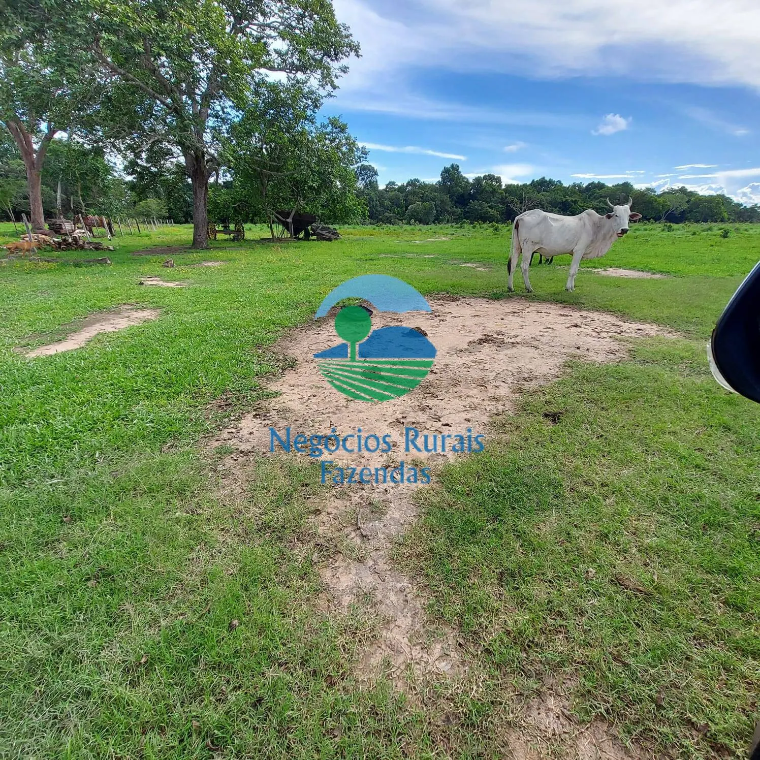 Fazenda à venda de 639 ha em Santa Rosa do Tocantins, TO, Brasil