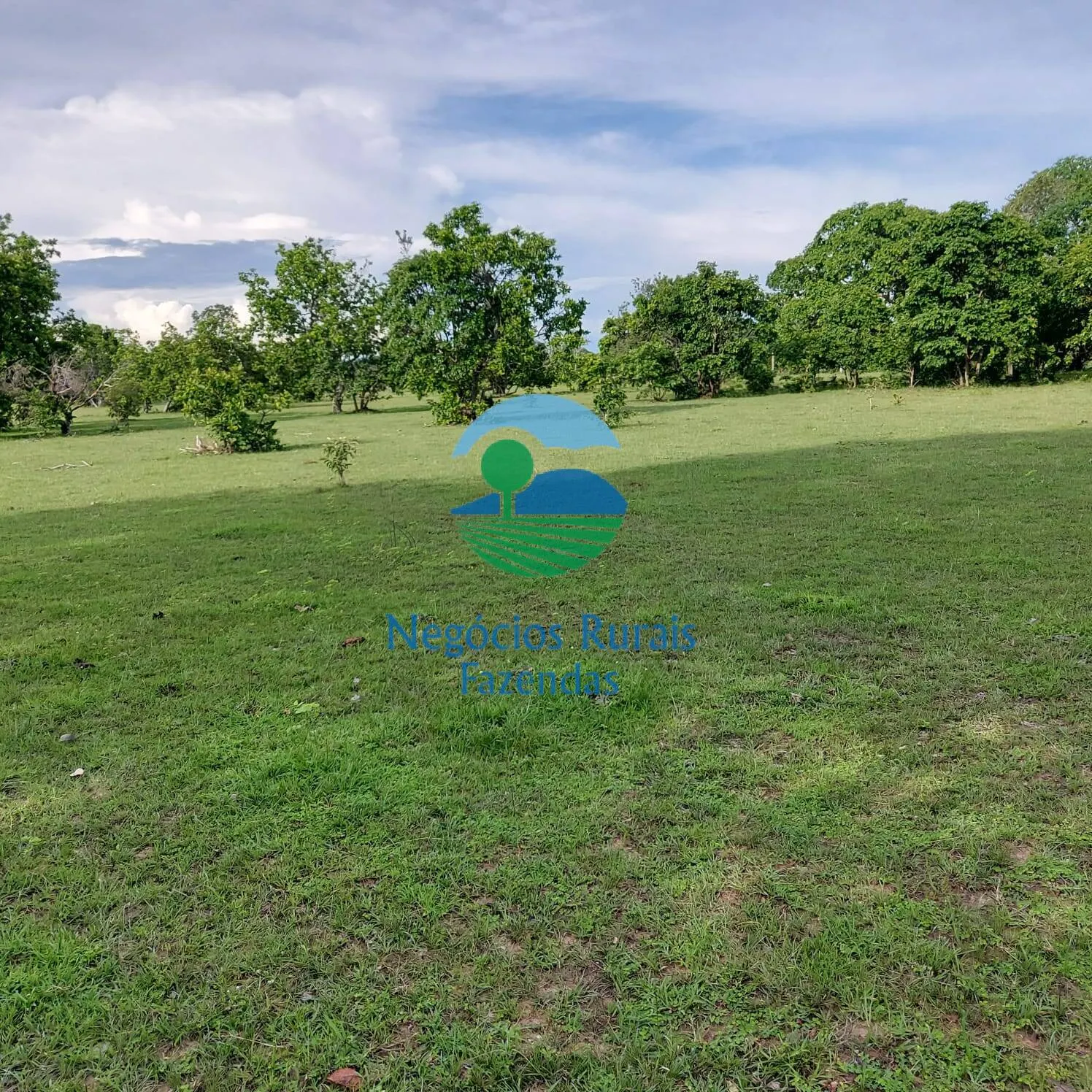 Fazenda à venda de 639 ha em Santa Rosa do Tocantins, TO, Brasil