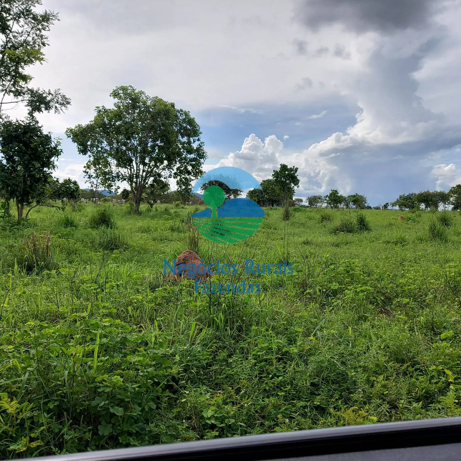 Fazenda à venda de 639 ha em Santa Rosa do Tocantins, TO, Brasil