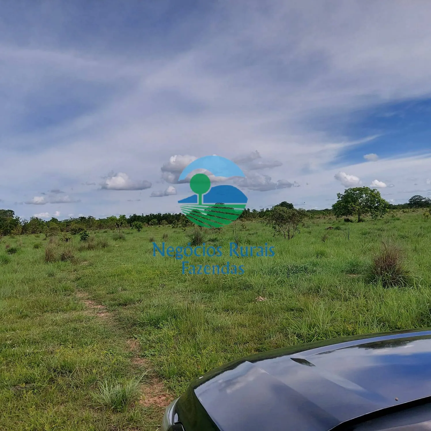 Fazenda à venda de 639 ha em Santa Rosa do Tocantins, TO, Brasil