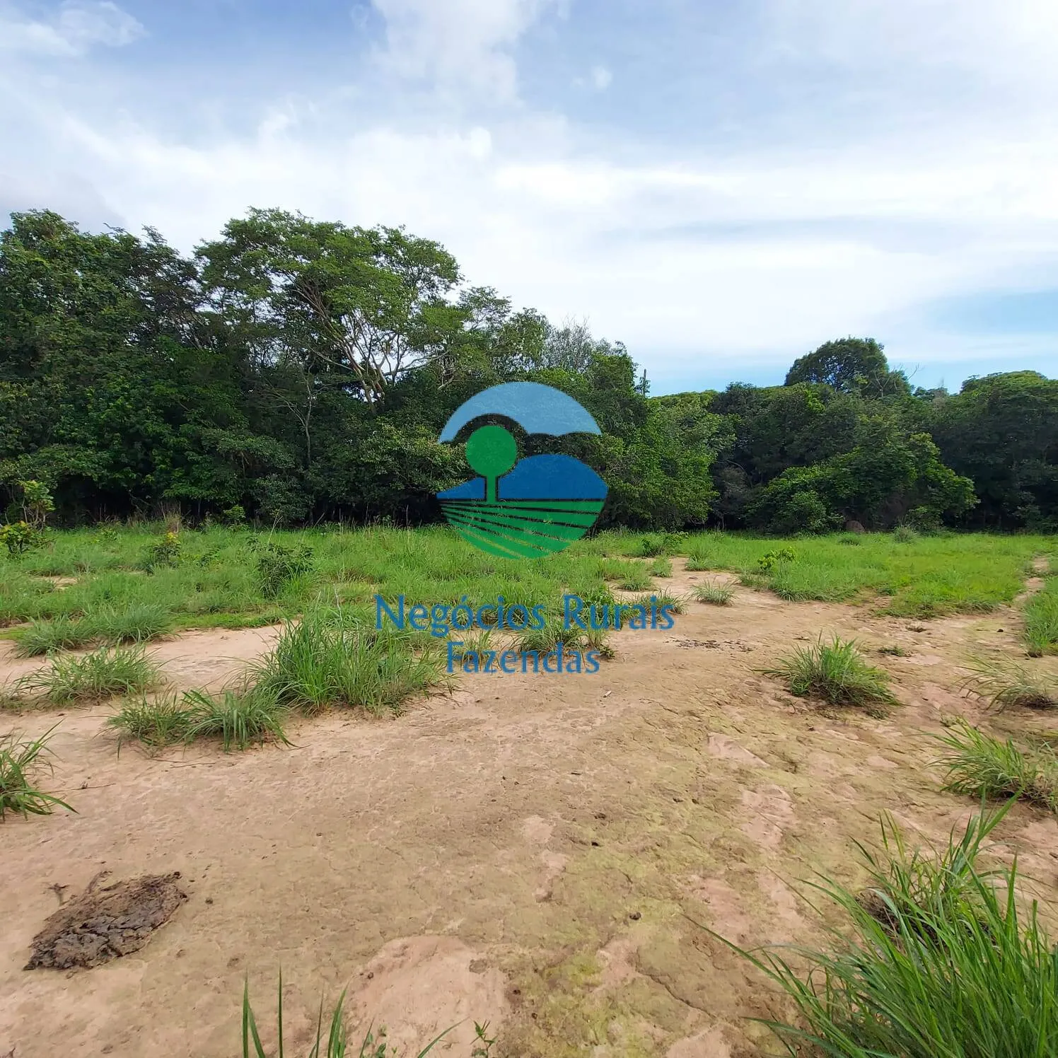 Fazenda à venda de 639 ha em Santa Rosa do Tocantins, TO, Brasil