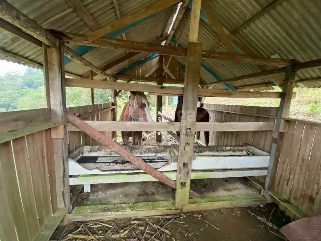 Fazenda à venda e para Arrendar de 6.172 m² em Brusque, SC, Brasil