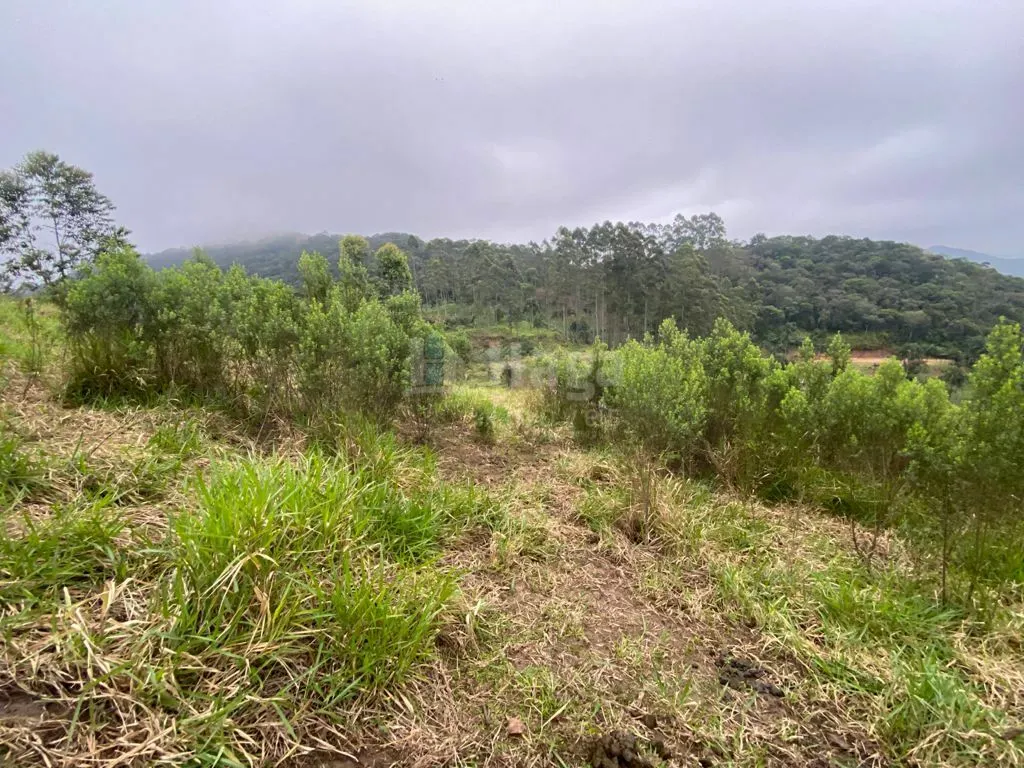Fazenda à venda e para Arrendar de 6.172 m² em Brusque, SC, Brasil