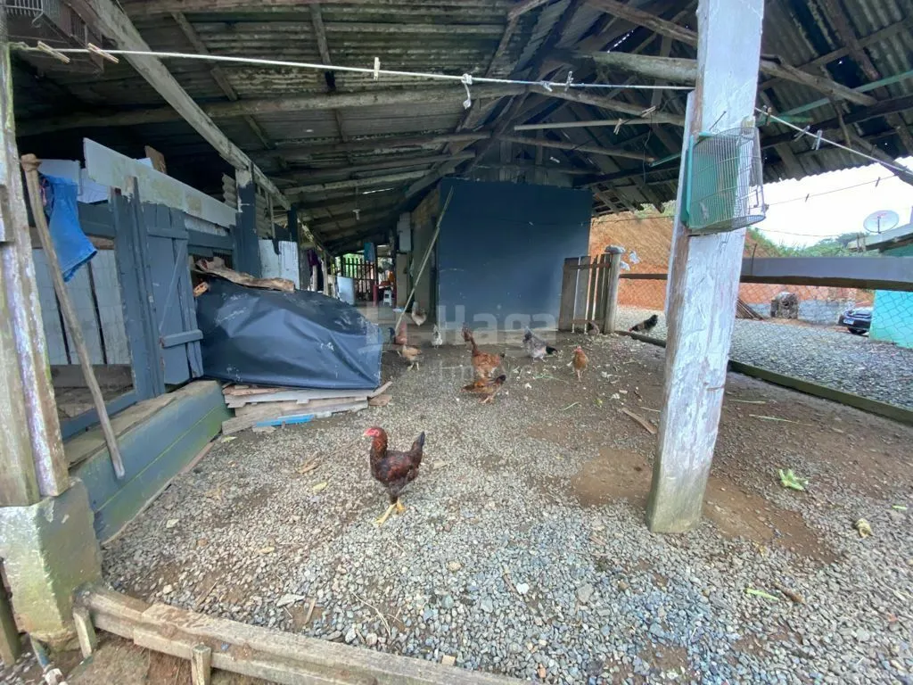 Fazenda à venda e para Arrendar de 6.172 m² em Brusque, SC, Brasil