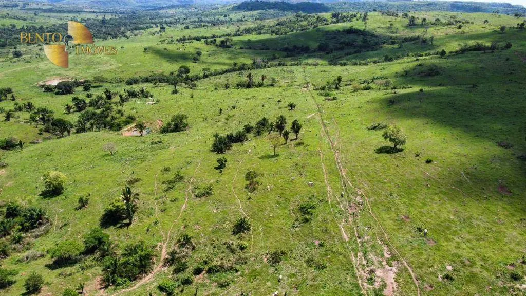 Fazenda à venda de 1.390 ha em Rondonópolis, MT, Brasil
