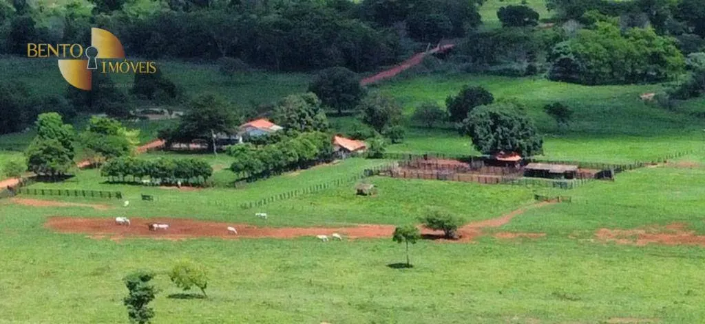 Fazenda à venda de 1.390 ha em Rondonópolis, MT, Brasil