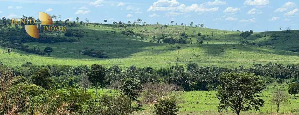 Fazenda à venda de 1.390 ha em Rondonópolis, MT, Brasil