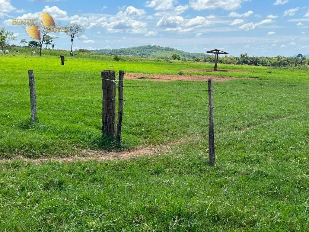Fazenda à venda de 1.390 ha em Rondonópolis, MT, Brasil