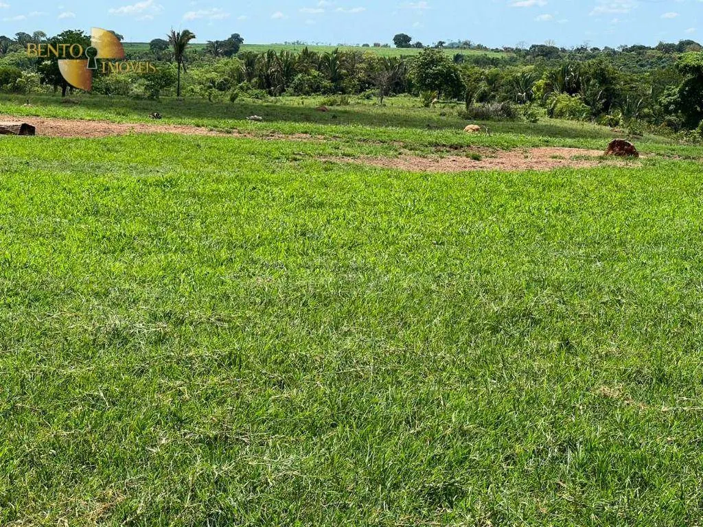Fazenda à venda de 1.390 ha em Rondonópolis, MT, Brasil