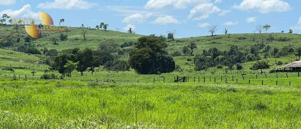 Fazenda à venda de 1.390 ha em Rondonópolis, MT, Brasil