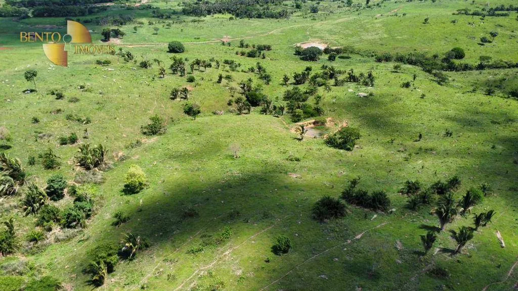 Fazenda à venda de 1.390 ha em Rondonópolis, MT, Brasil