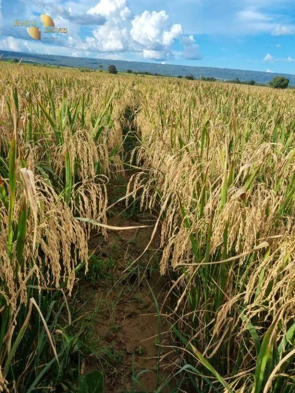 Fazenda à venda de 7.430 ha em Nobres, MT, Brasil